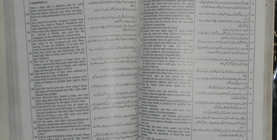 Parallel English/Urdu New Testament